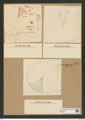 Coscinodiscus curvatulus var. subocellatus Grun. (de-Toni-Nr.: Genus 202, Species 4928) Zeichnungen Sammlung Grunow Nr. 8509 (NHMW-BOT-W0378129)